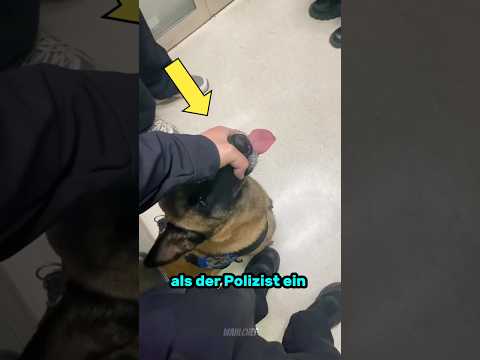 Polizist rettet Mädchen vor Trainingshund