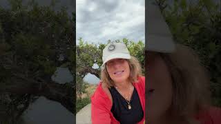 Step  into  Your Essence