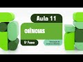 Hormônios e suas Funções no Corpo