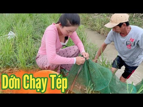 Cô Gái Quê ✅ Phát hiện con mương nhỏ đầy Tép Rong.