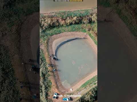 How to do fishing in pond 🎣 #shorts