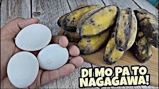 GAWIN mo ito sa SAGING SABA at ITLOG Magugulat ka sa SARAP nito! PATOK pa na PANG NEGOSYO