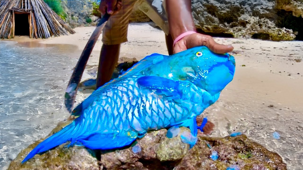 Parrot Fish Catch n Cook with Natives - Cavy Fishing