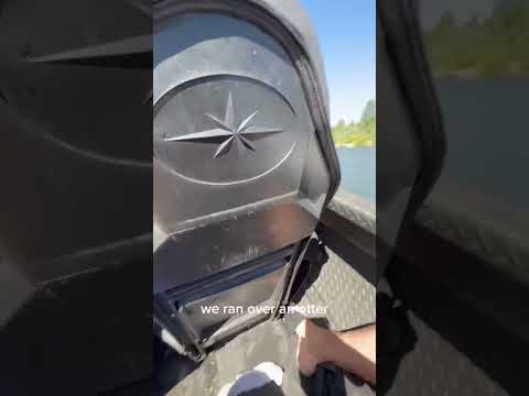 We didn’t really run him over but it was close! Didn’t see the little guy!