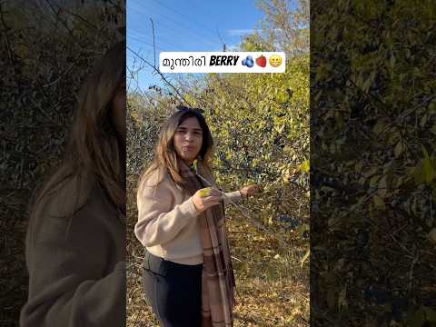 Berries everywhere🫐🫐#germany #lifeingermany #minivlog #fypシ #reels
