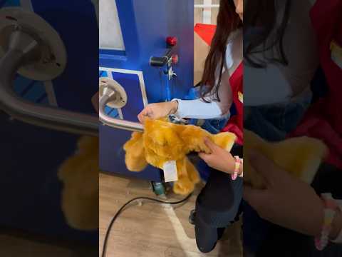 ON CRÉE NOTRE PELUCHE PERSONALISÉE 🧸🇬🇧