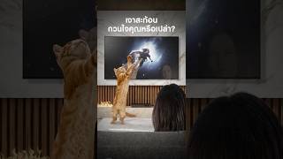 ชมภาพบนทีวีแบบไร้เงาสะท้อน | Samsung