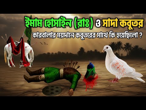 ইমাম হোসেন (রাঃ) ও একটি সাদা কবুতরের বিস্ময়কর ঘটনা || কারবালার ময়দানে কবুতরের সাথে কি ঘটেছিলো