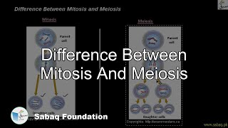 Difference Between Mitosis And Meiosis