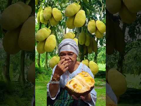 Jackfruit?? #jackfruit #food #mukbang #makan #shorts