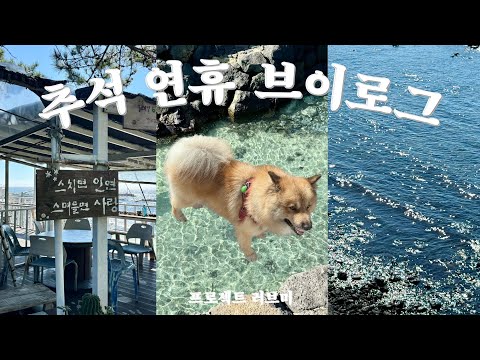 제주도 자취생의 추석 연휴 브이로그 | 산도롱한면 | 유부김밥 | 땅콩두부 | 공복 막걸리 | 노래 대회🎤| 강아지 간식 만들기 | 인간 간식 만들기 | 태웃개 바다 수영