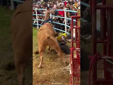 Patitas cortas de Pátzcuaro vs toro el parradero🐂💯  #jaripeo