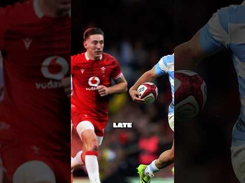 Welsh Fans how do we feel? 💬🏴 #welshrugby #cymru #rugby