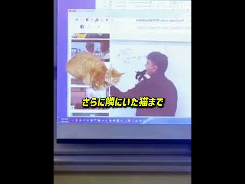 学生時代に良い先生に出会うべき理由