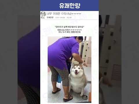 이 동네에 귀여운 사람이 산다