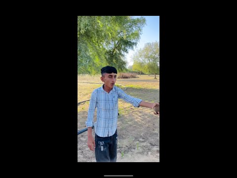 Kavya or papa ki funny comedy video 😂😅 #shorts #funnyshorts #viralshort #shortvideotrendingshorts