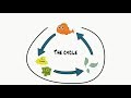 Aquaponics and the Nitrogen Cycle
