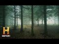 Bigfoot Research Journey