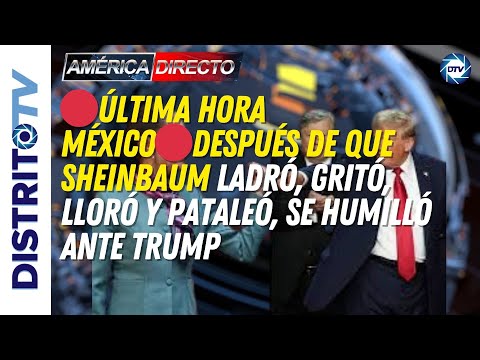 🔴ÚLTIMA HORA MÉXICO🔴Después de que SHEINBAUM ladró, gritó, lloró y pataleó, se humilló ante TRUMP