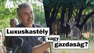 Hadházy: A lónak a faszát egy mezőgazdasági üzem