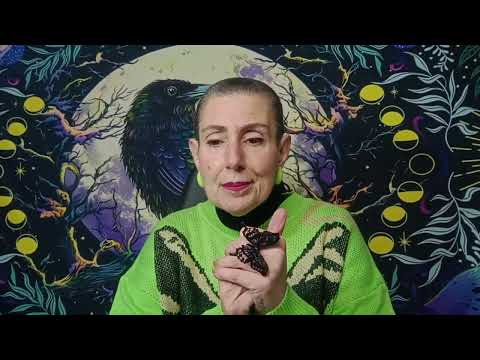 VIRGEM ♍ DUAS COBRAS. UMA NÃO TRAZ PERIGO A OUTRA .... 🧐