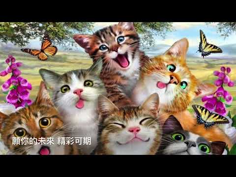 《 夜貓子天堂（生日快樂）》吉他獨奏 水晶音樂MIDI , guitar arranged by Louis Liu