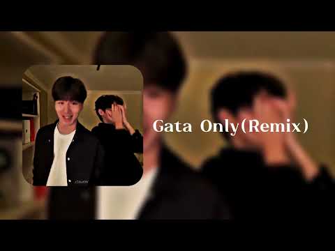 Gata Only(Remix)| floyymenor |@FloyyMenor @moonly_rics
