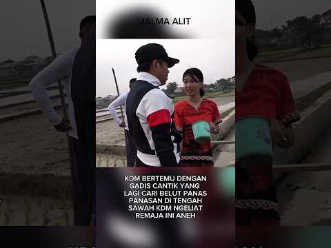 GADIS CANTIK CARI BELUT DI SAWAH KDM NGELIATNYA ANEH