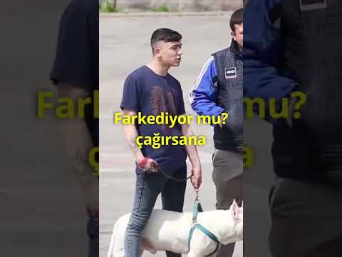 ZENGİN KÖY AĞASI OLUP İNSANLARA ÖNCE HARAÇ KESİP SONRA TOPLUCA KOŞMAK