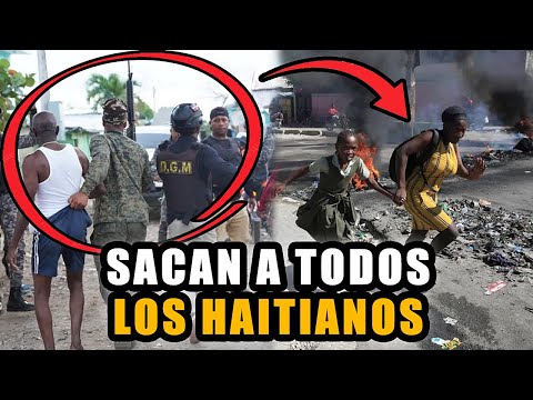 AHORA MISMO 😱 LOS DOMINICANOS SACAN A TODOS LOS HAITIANOS DE HAINA