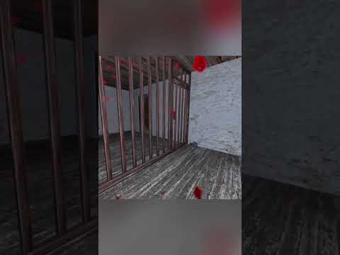 Grandma Locked ME IN A CAGE.. #granny #vrhorror #funny