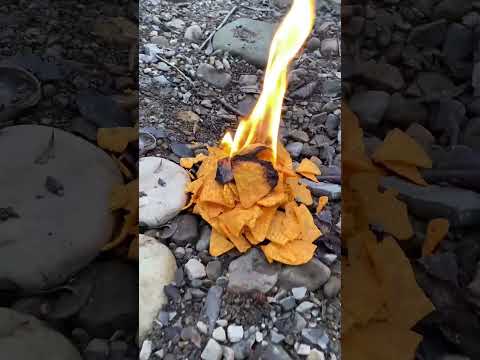 ele sobreviveu na floresta com Doritos #shortsbrasil #curiosidades