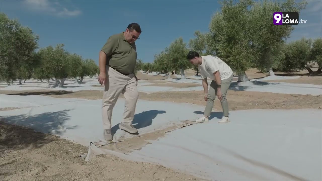 Futuroliva 2026 · Jornadas Nutesca: DNT Agro