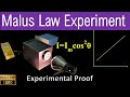 Malus's Law and Light Intensity