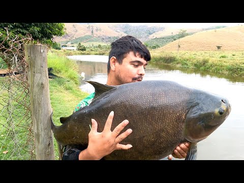 SE EU FALAR QUANTOS ANOS TEM ESSE PEIXE NINGUÉM VAI ACREDITA! veja só inacreditável