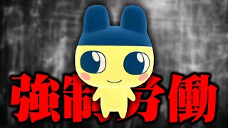働きたくない男による「たまごっちのプチプチおみせっち おまちど〜さま！」実況プレイ
