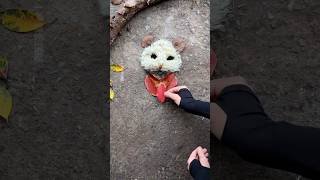 Jungle me arts bnaya 😱|#youtubeshorts #shortsviral #viralshort