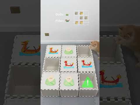 Kitty Tic-Tac-Toe: Dragon Boat Festival Edition!🌰 vs 🐉 #catsoftiktok #cat #funnycats #pets #catgames