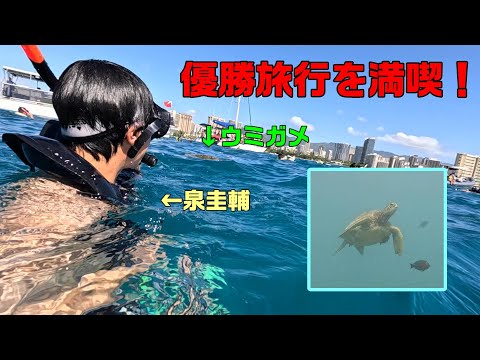 優勝旅行を満喫！ハワイの海で亀を見にいこう