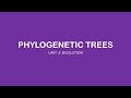 Molecular Systematics and Cladistics Concepts