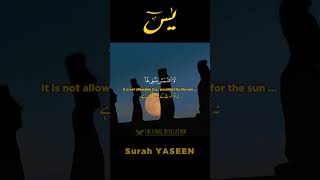 #shorts Surah Yaseen verse 37-40 surah|yasin|rahman|yaseen|rehman|online quran|tilawat