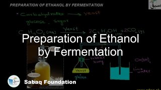 Preparation of Ethanol by Fermentation