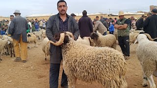 مباشرة من خميس تاوجطات 24/7/2025 أثمنة الحولي والخروف الكسابي والنعجة وخروفة ماعز فرجة ممتعة