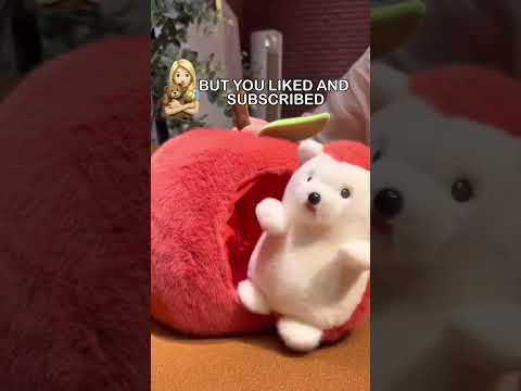 We sent him 24 FREE plushies ๐
