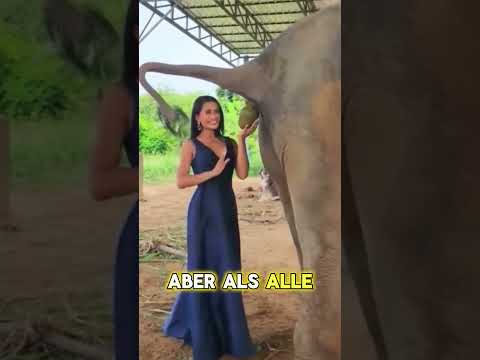 Frau fängt Elefantenkot und wird reich!😱🤑
