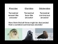 Seals and Their Characteristics