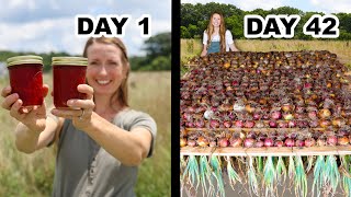 42 days of Growing Food for Self Sufficiency: Epic Harvests & Preserving