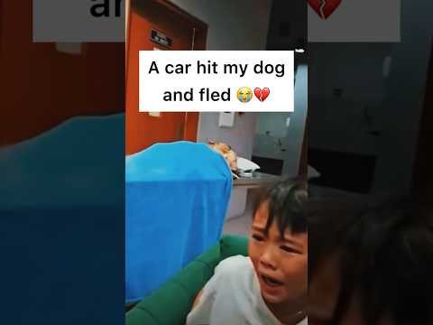 Karma is real 😔💔 #pets #pet #petloss #dogloss #dog #dogs #doglover #doglovers #grief