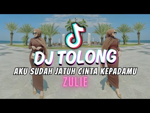 DJ AKU SUDAH JATUH CINTA KEPADAMU ZULIE | TOLONG ZULIE AKU SUDAH JATUH CINTA KEPADAMU REMIX