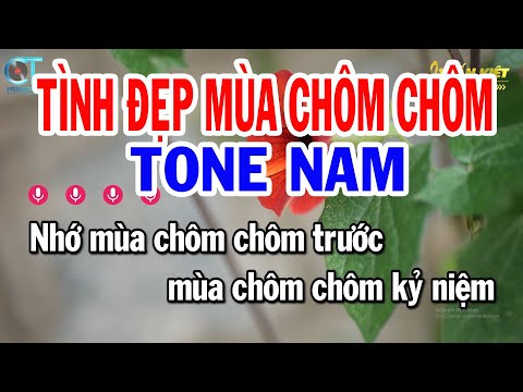 Karaoke Tình Đẹp Mùa Chôm Chôm Tone Nam ( Bm ) Nhạc Sống Mới Nhất || Karaoke Tuấn Kiệt